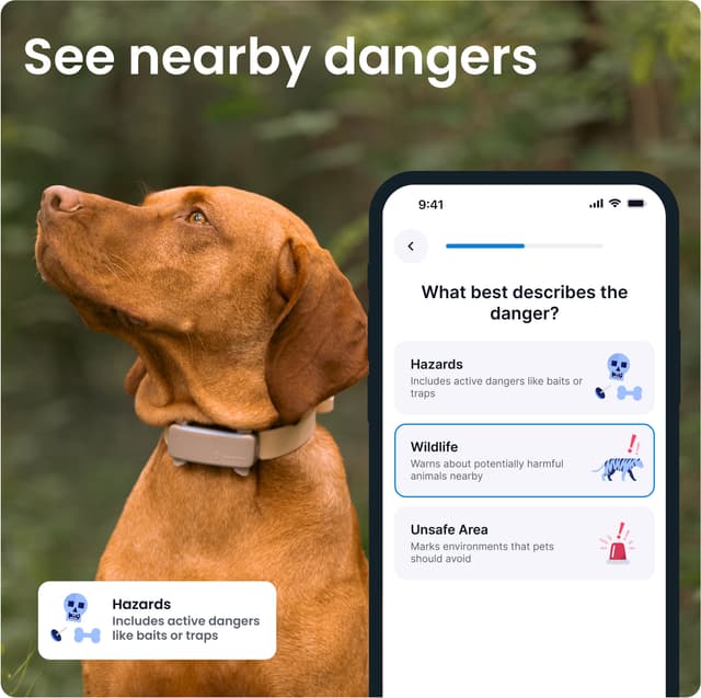 Tractive Dog 6 GPS-tracker (brun)
