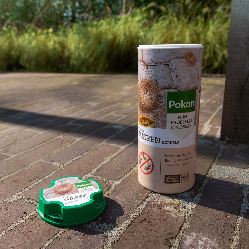 Pokon tegen mieren korrels 400 gr