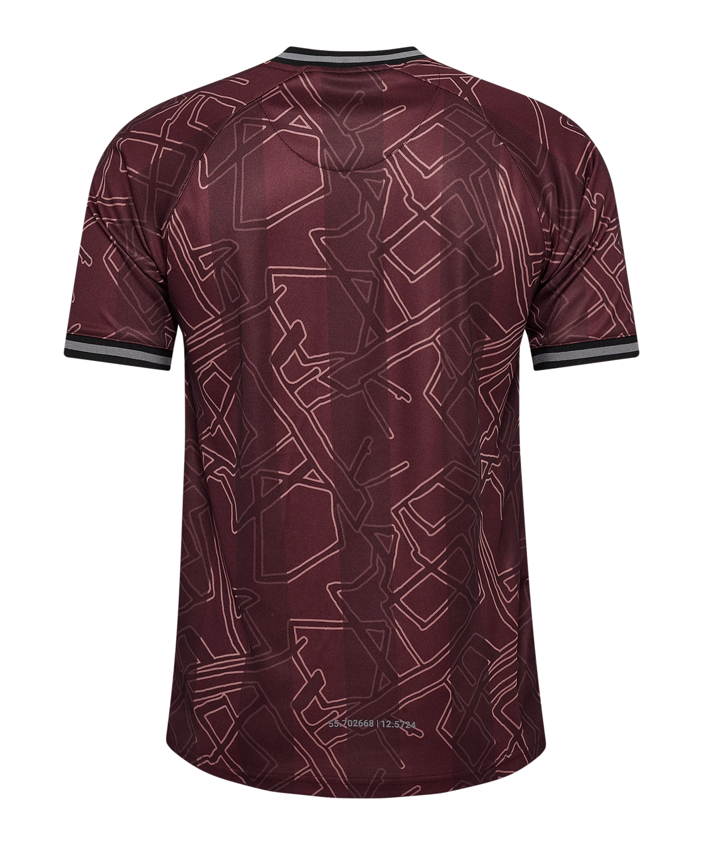 Hummel Dänemark x Halo Trikot 2024 Blau F8186