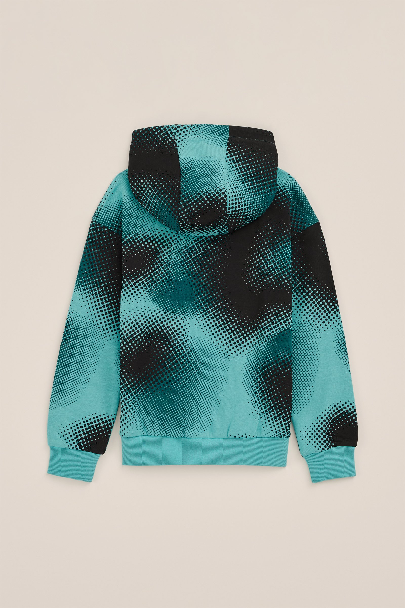 Jongens hoodie met dessin Salty Dog Groenblauw
