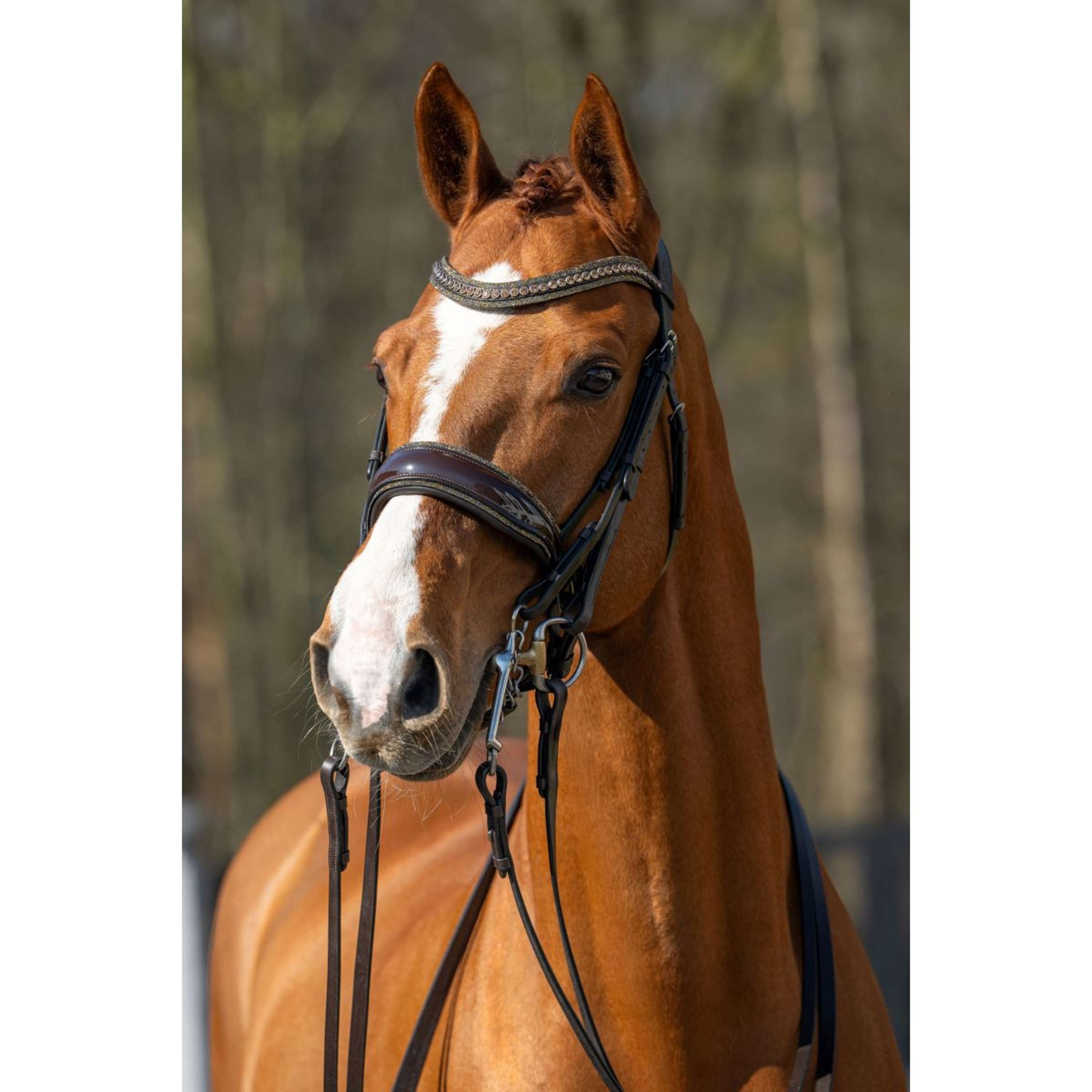 HB Hoofdstel Showtime One in a Million Brown/Golden Glitter