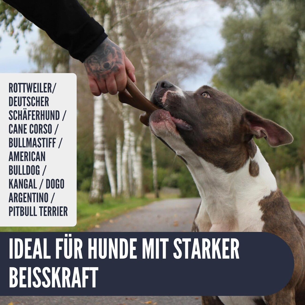 Supravit ChewDeer Kauspielzeug für Hunde Pure Beef