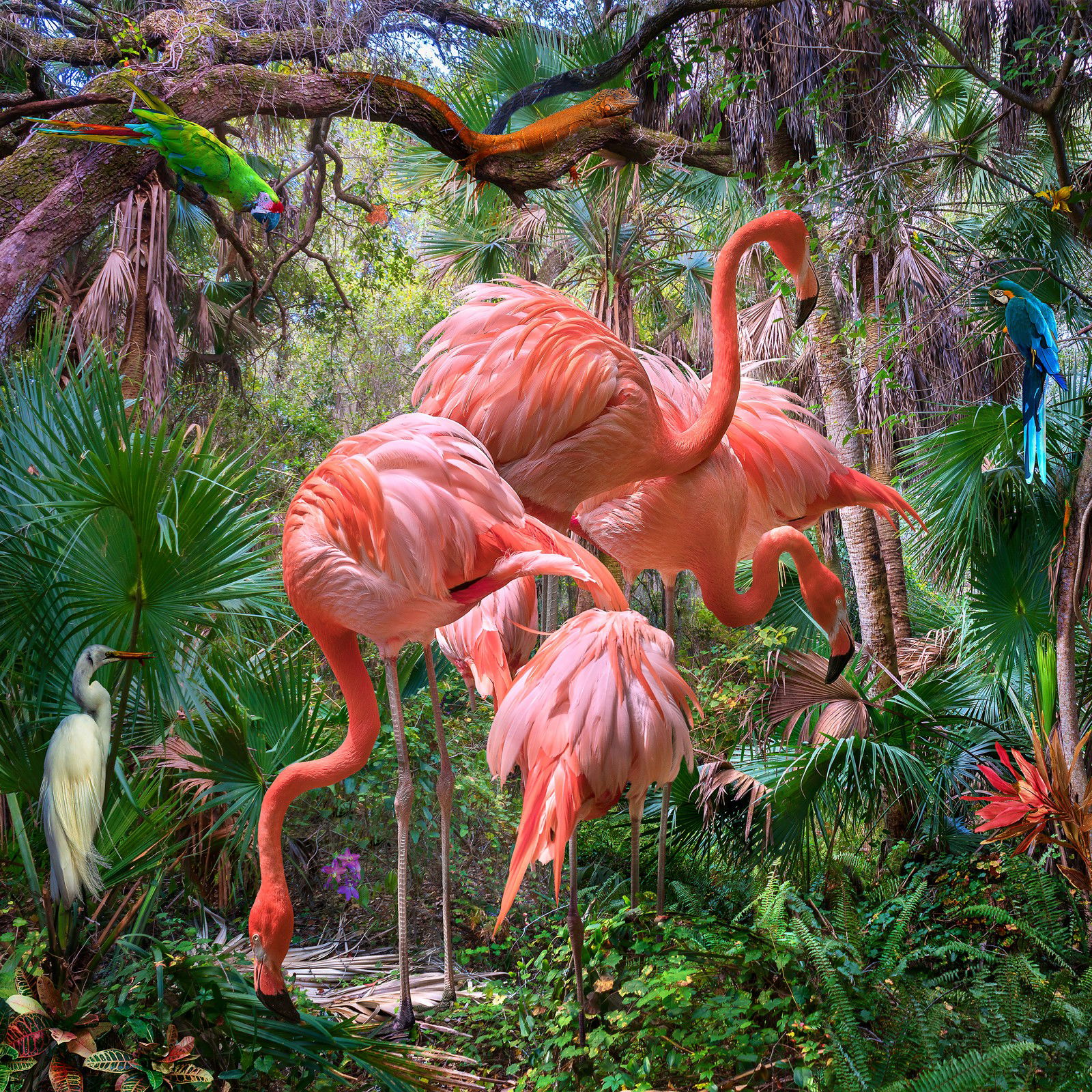 Lost Flamingos and Some Acquaintances by Pat Swain - Petites - Small Open Edition.