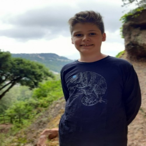 Camiseta masculina Animal Totem camaleão preta