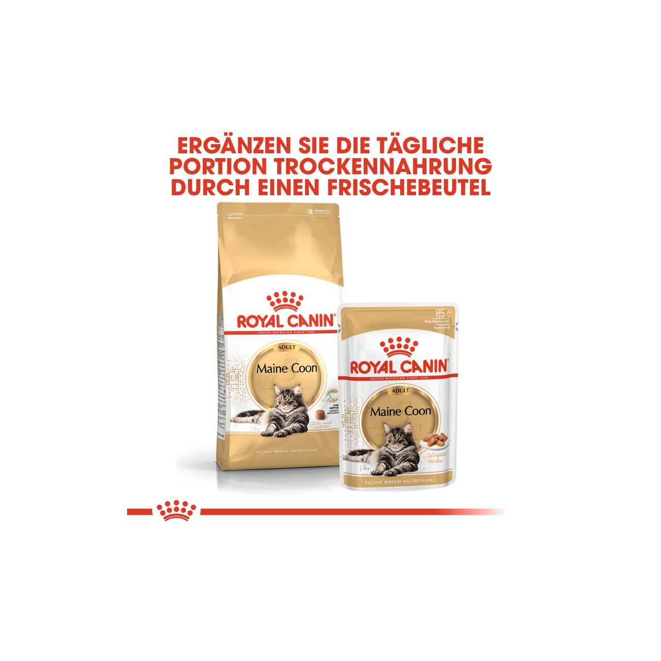 ROYAL CANIN Maine Coon Adult in Soße 12x85 g
