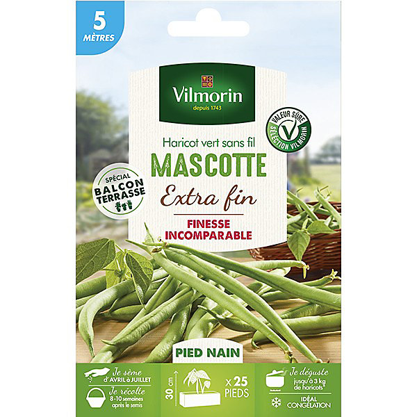 Graines de Haricot nain Mascotte 10m