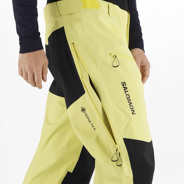 Pantalon de ski SALOMON MOON PATROL GORETEX BIB M CHARLOCK