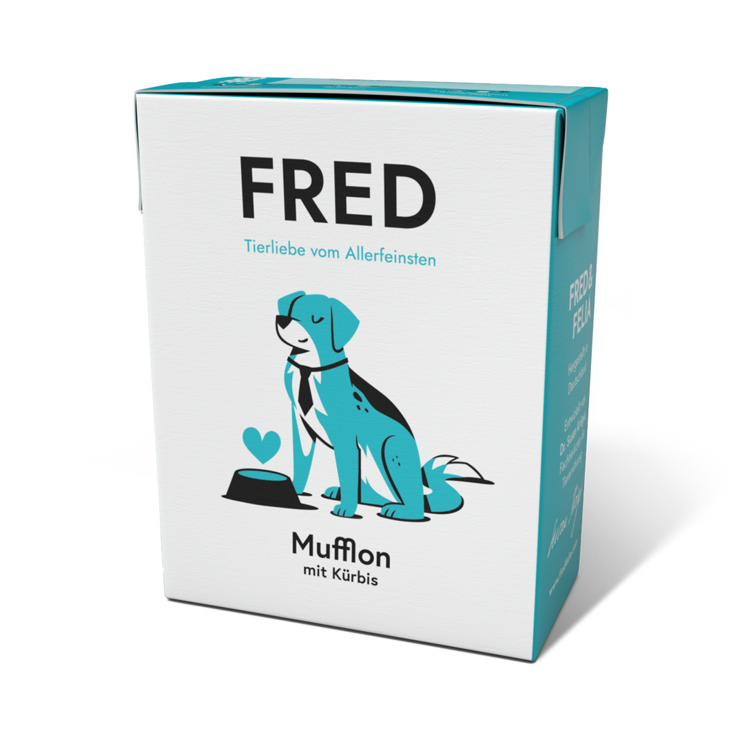 Mufflon mit Kürbis