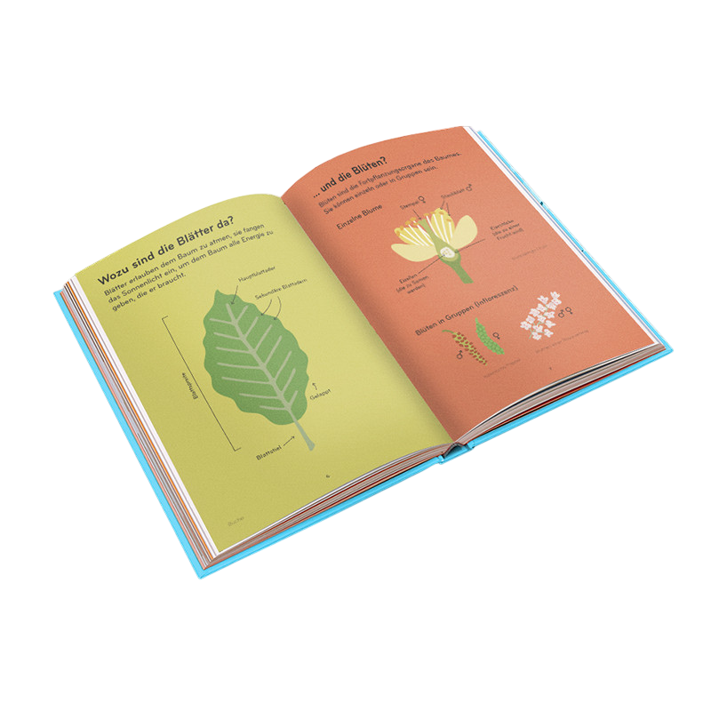 Buch Arborama DE