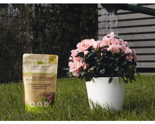 Lucky Plant Plant Strengthener Poeder 200g incl. maatlepel