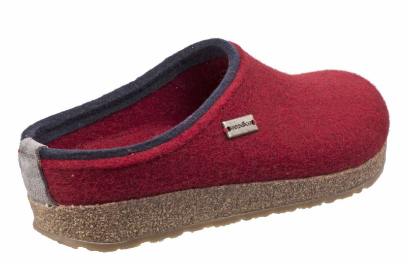 Haflinger Grizzly Kris Rood