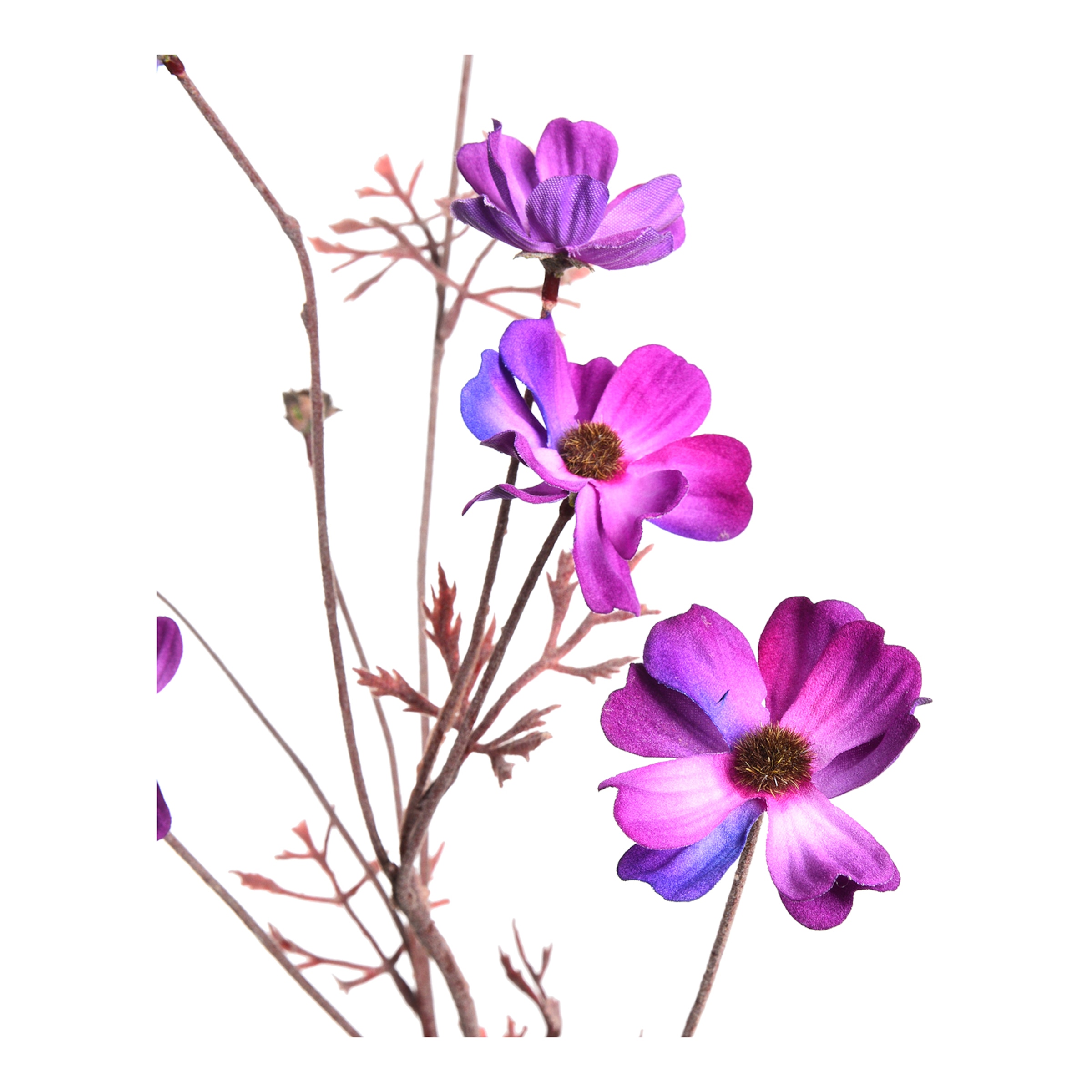 violett, L 76 cm