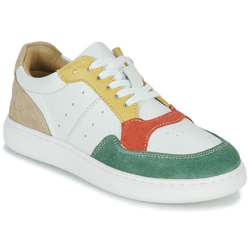 Citrouille et Compagnie - FITOS - Vert / Multicolore