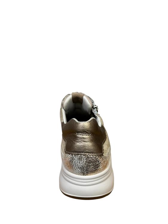 Durea 6292 wijdte H beige