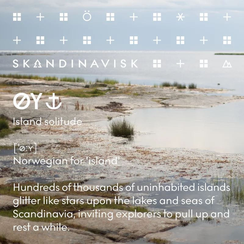 SKANDINAVISK ØY Wash 500 ml