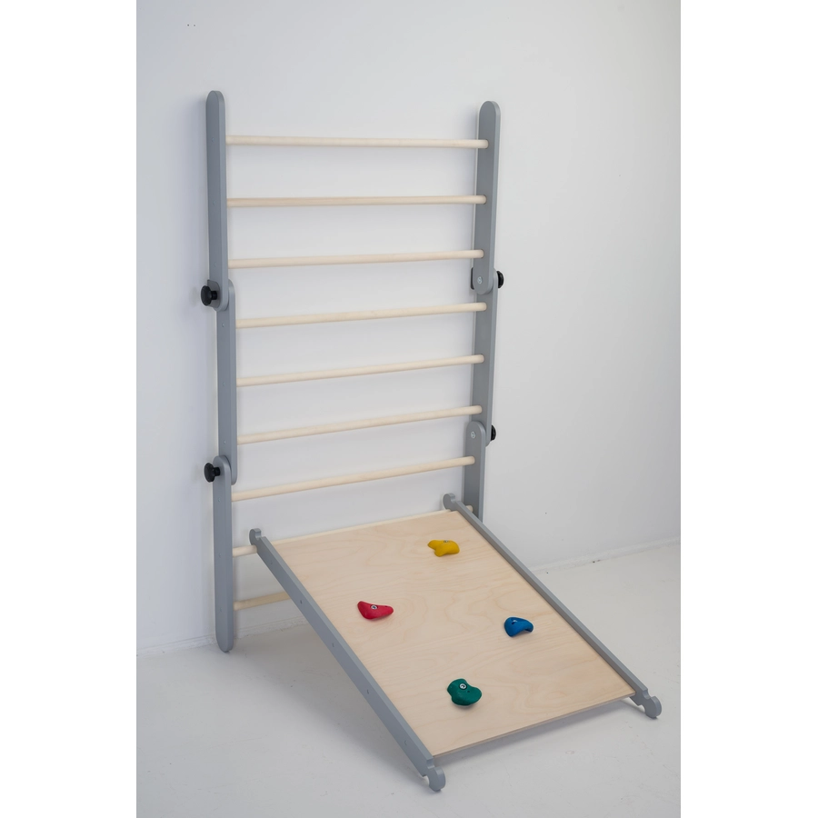 Family-SCL Rampe 2-in-1 grau