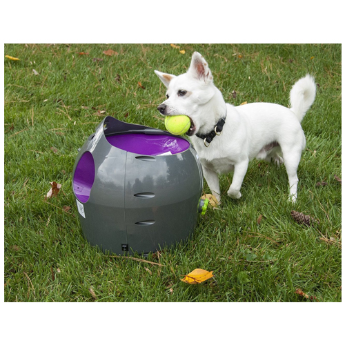 PetSafe Ball Launcher