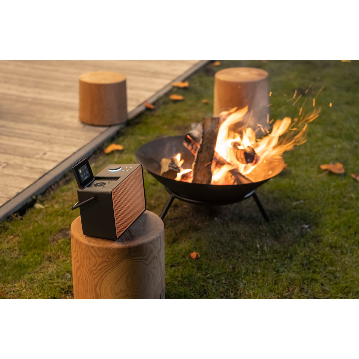 Pure Evoke Play Wood Edition digitalradio (sort)