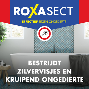 Roxasect Anti-Zilvervisjes Set - Spray tegen Zilvervisjes 400ml en Zilvervisjesval - 2 Stuks