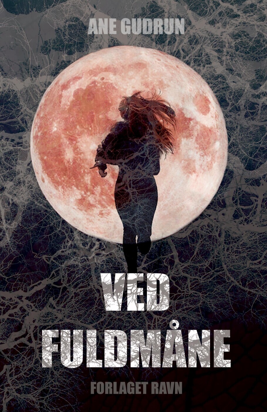 Ved Fuldmåne - Ane Gudrun - Bog