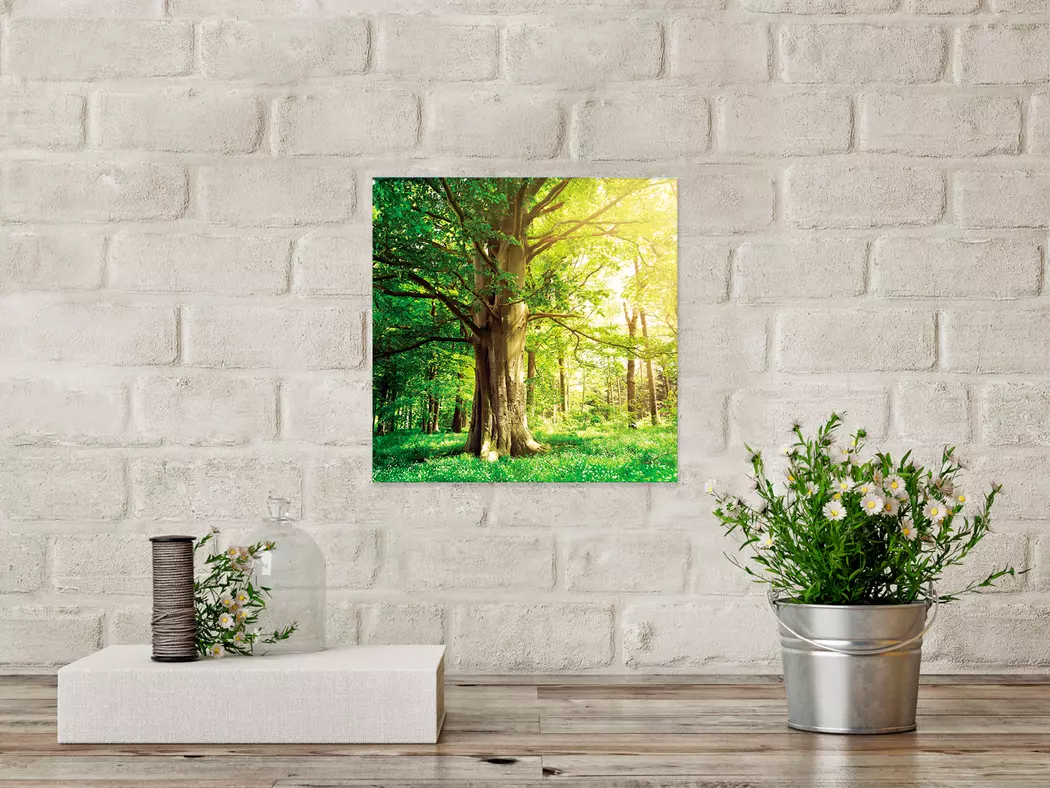 Wandbild 30 x 30 cm Green trees II