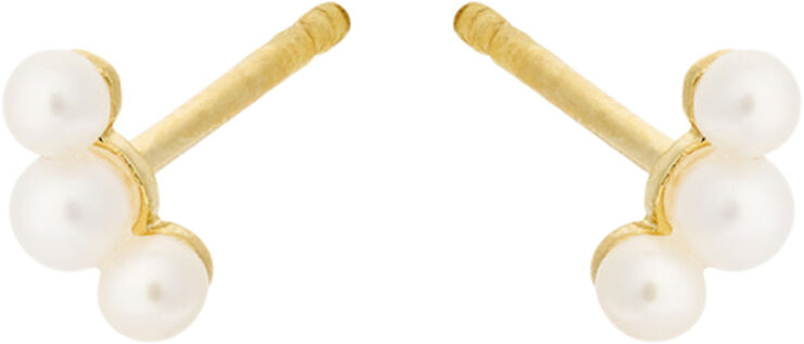 Pernille Corydon Jewellery Ocean Pearl Earsticks size 6 mm Guld & hvid