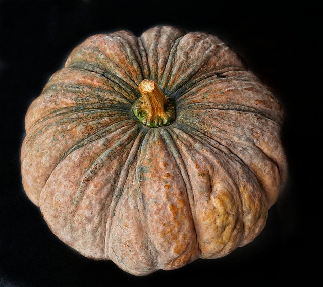 Sachet de graines de courge musquée d'hiver de provence - sachet de 2 grammes - petite entreprise française - made in france