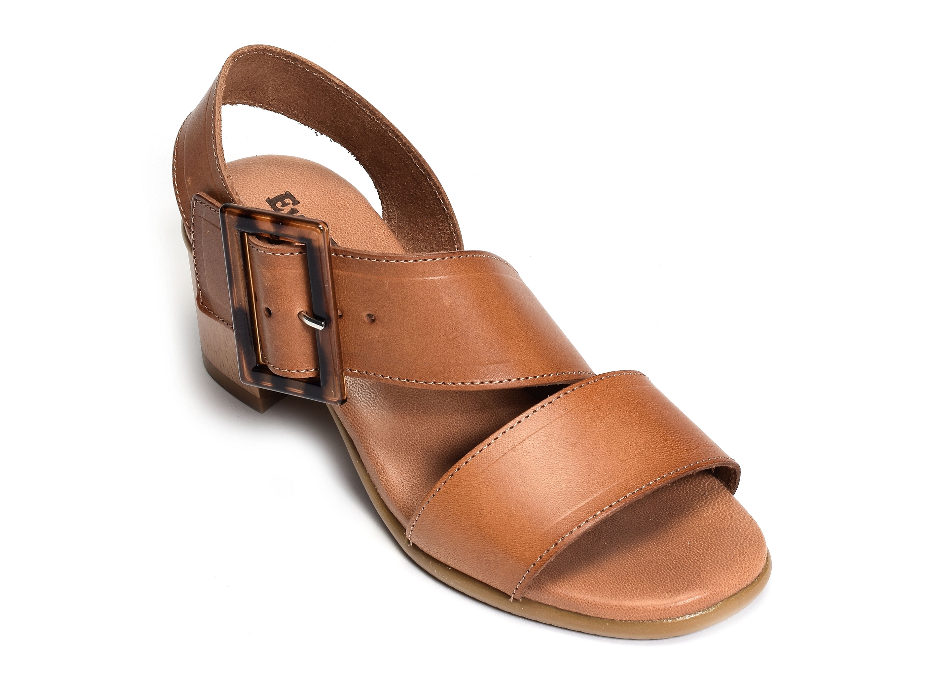 1418 camel