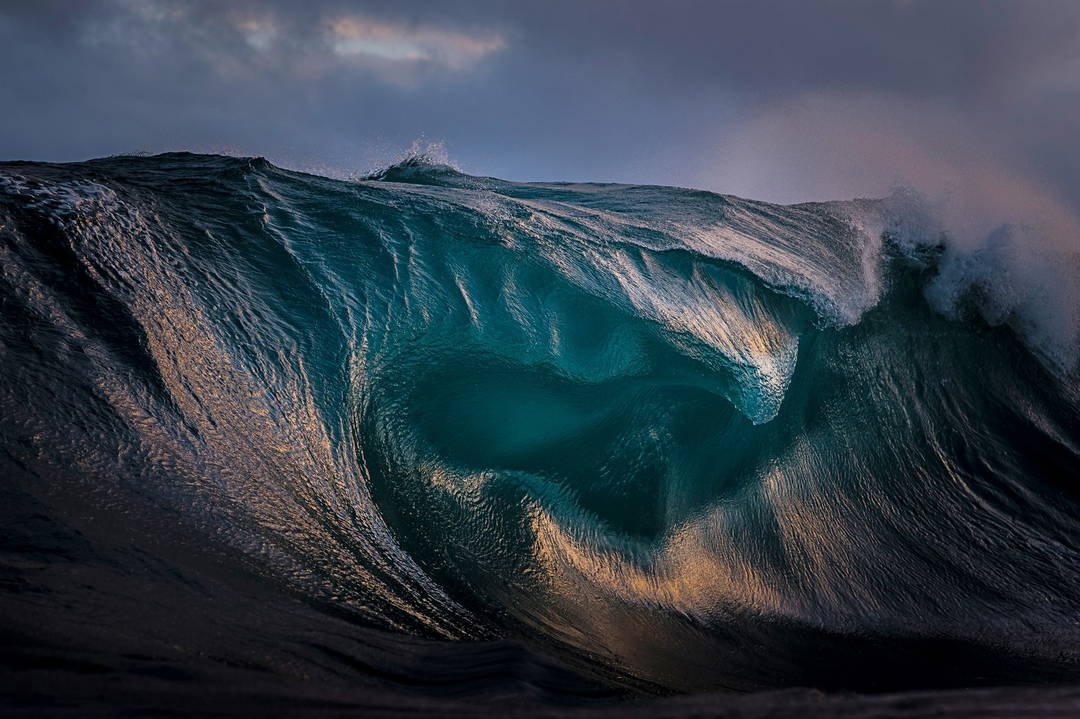 Oil by Ray Collins - Limited Edition. Edition of: 150. Signed.