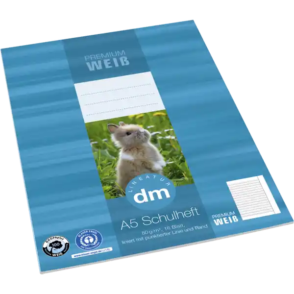 A5 Schulheft, Lin. dm, 16 Blatt