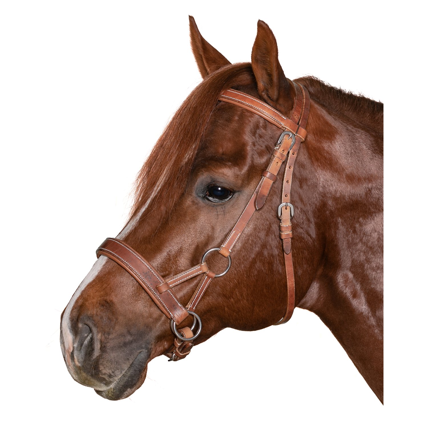 L-pro West Sidepull Cairns  - brown