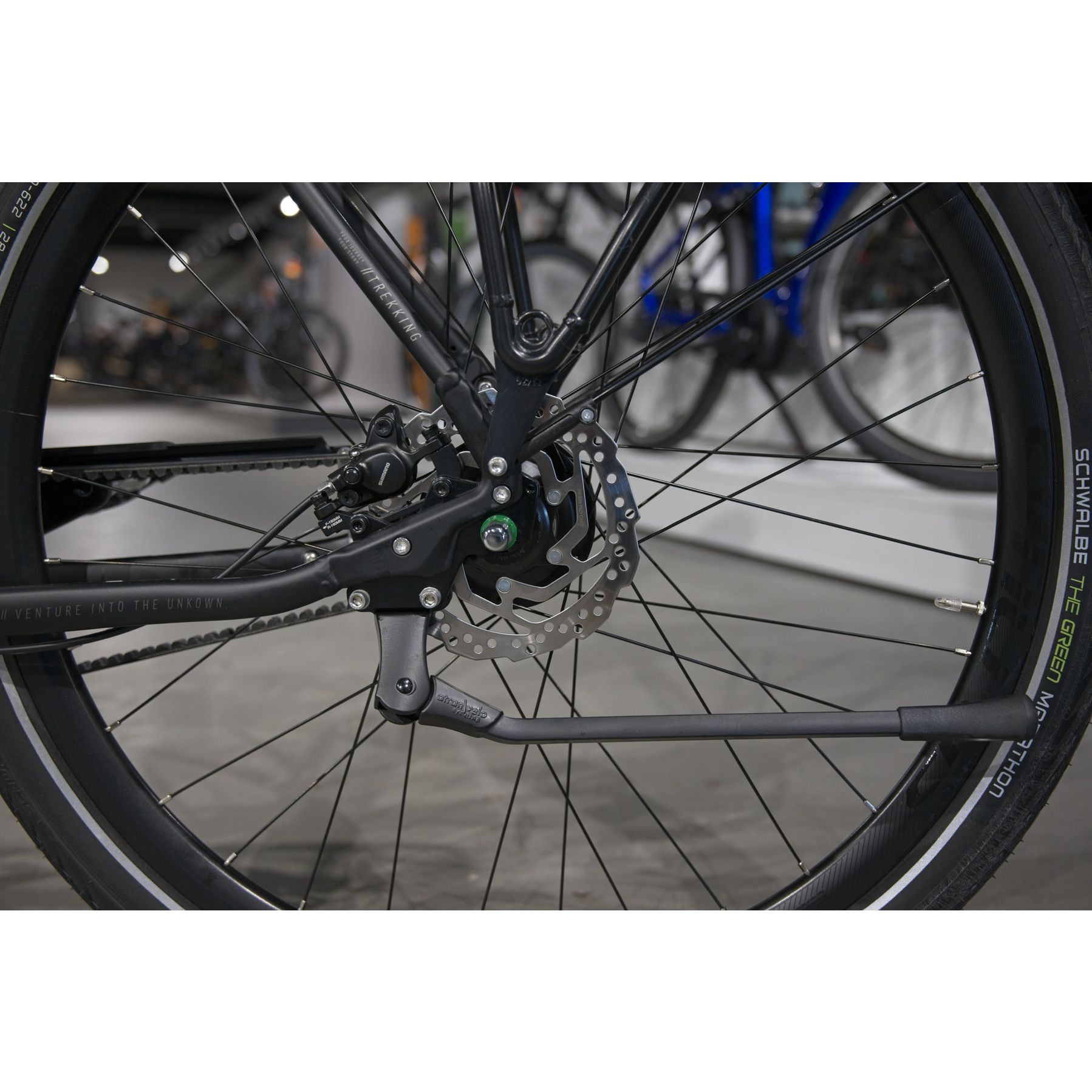 Bergamont Vitess 20 Belt 2026