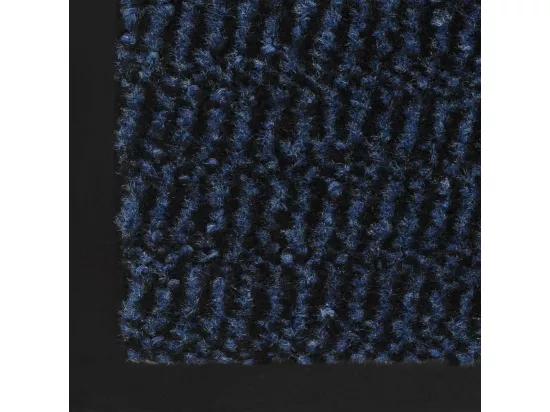 Paillasson rectangulaire 40 x 60 cm Bleu