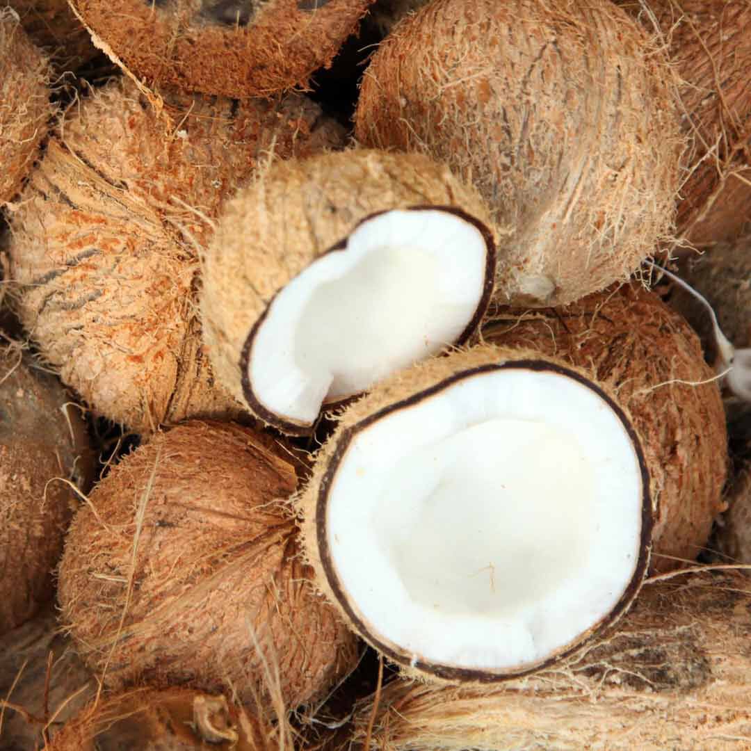 BODY SHOP Creme de Duche Coconut - 250ml