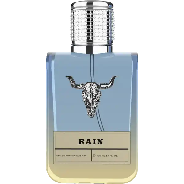 RAIN for him, EdP 100 ml
