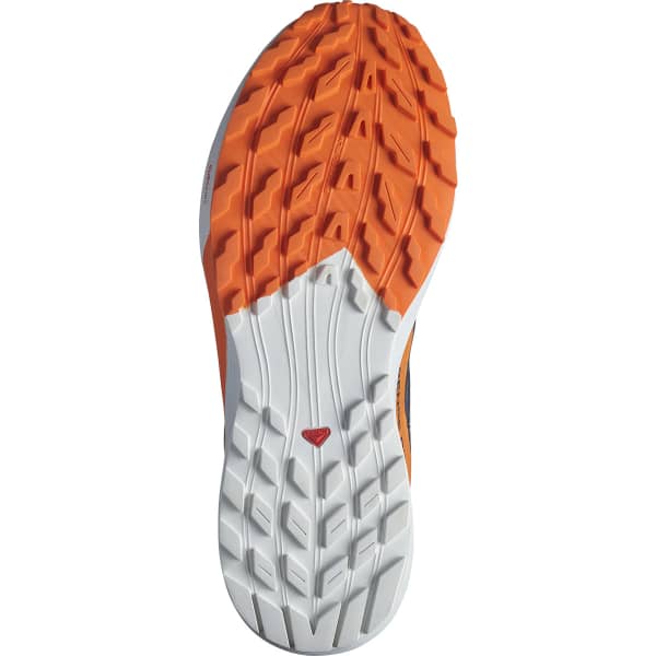 Chaussure trail SALOMON SENSE RIDE 5 GORE-TEX INDINK/CARBON/DRF