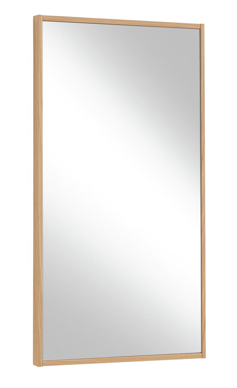VOSS Spiegel V100