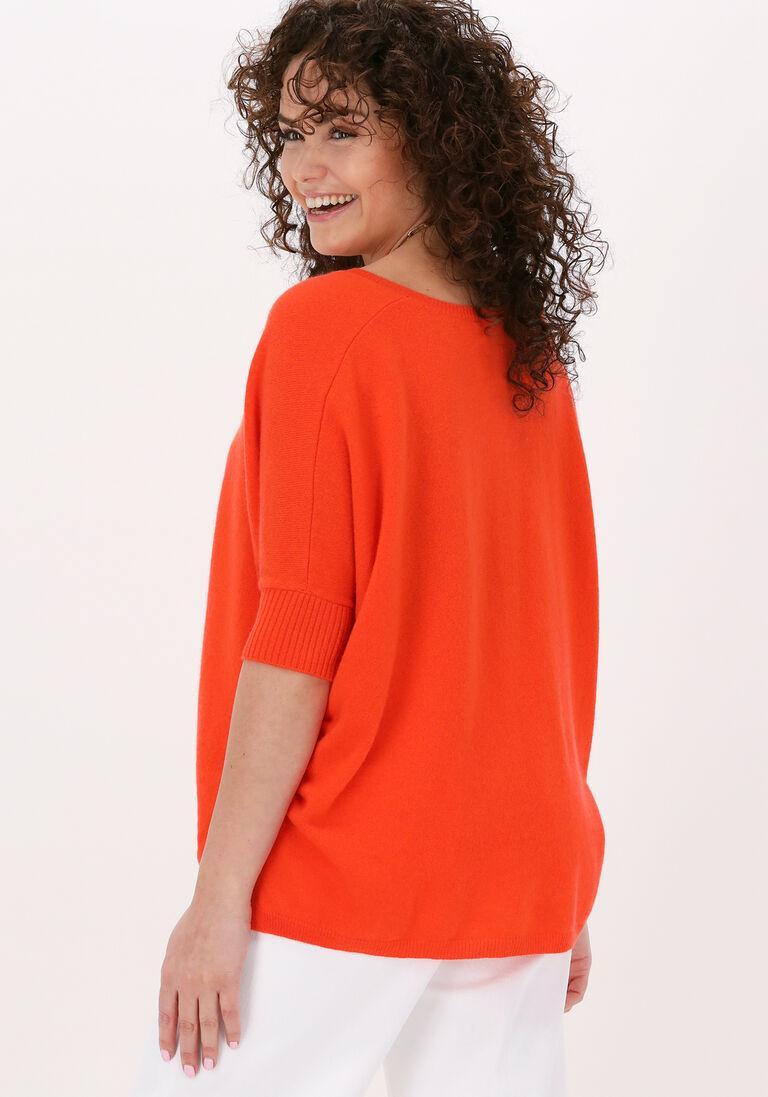 NOT SHY oranje not shy trui aimee