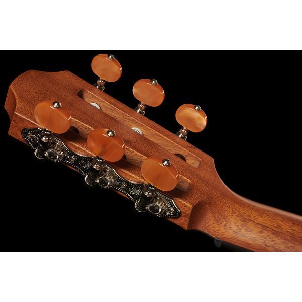 Furch GNc4-SR w/LR Baggs EAS-VTC
