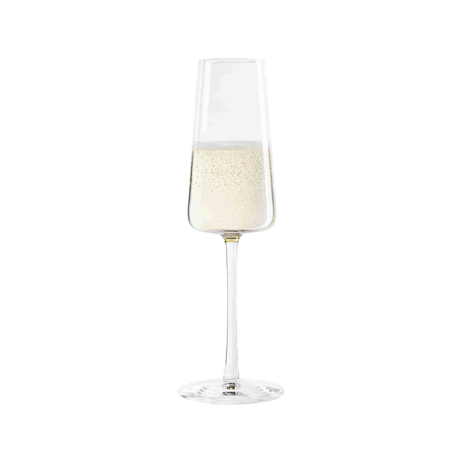 Stölzle Lausitz Champagnergläser Power 240 ml 6er Set