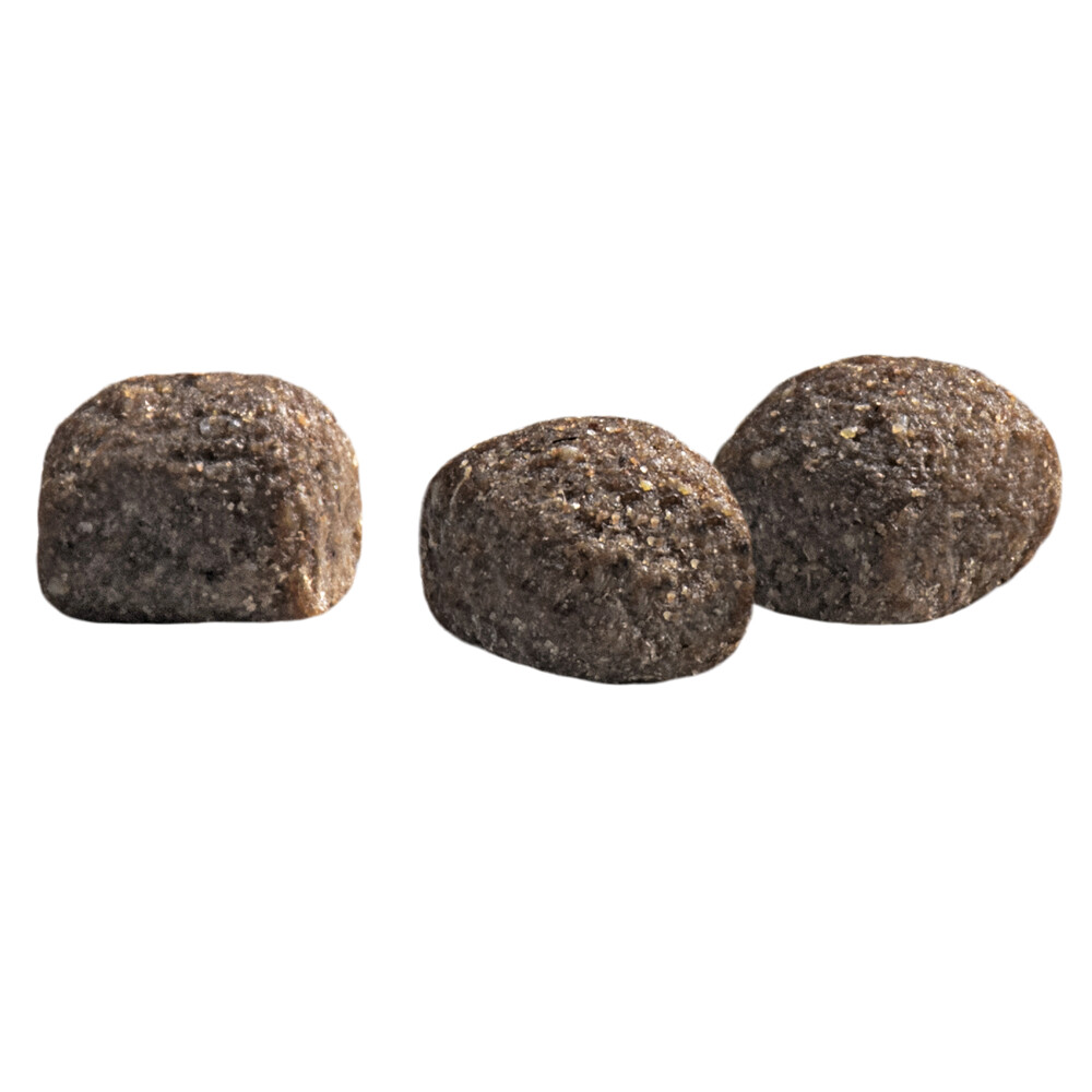 Prins Protection Croque Mini Super Performance Hondenvoer 10 kg