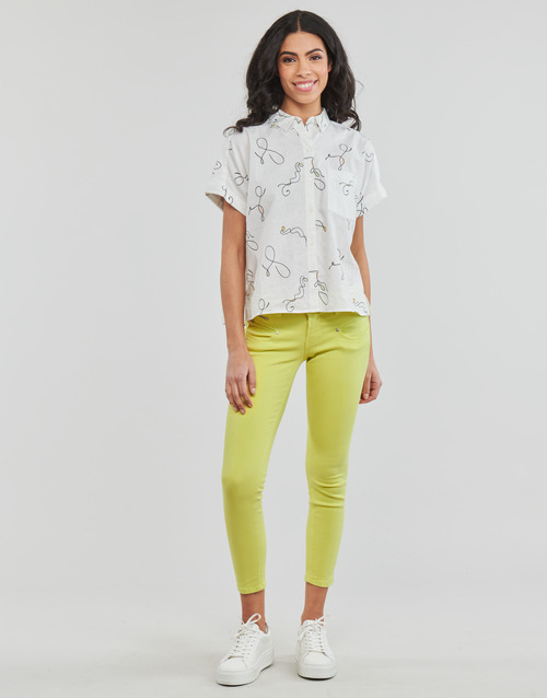 Freeman T.Porter - ALEXA CROPPED NEW MAGIC COLOR Sulfuro / Spring