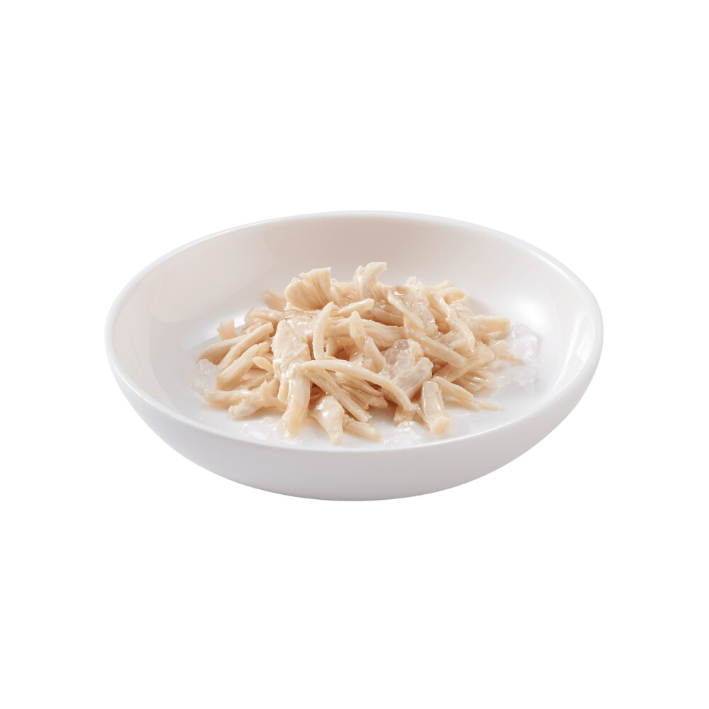 20x Schesir Kattenvoer Kipfilet in Gelei85 gr
