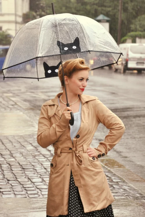So Rainy It's Raining Cats transparante koepelparaplu