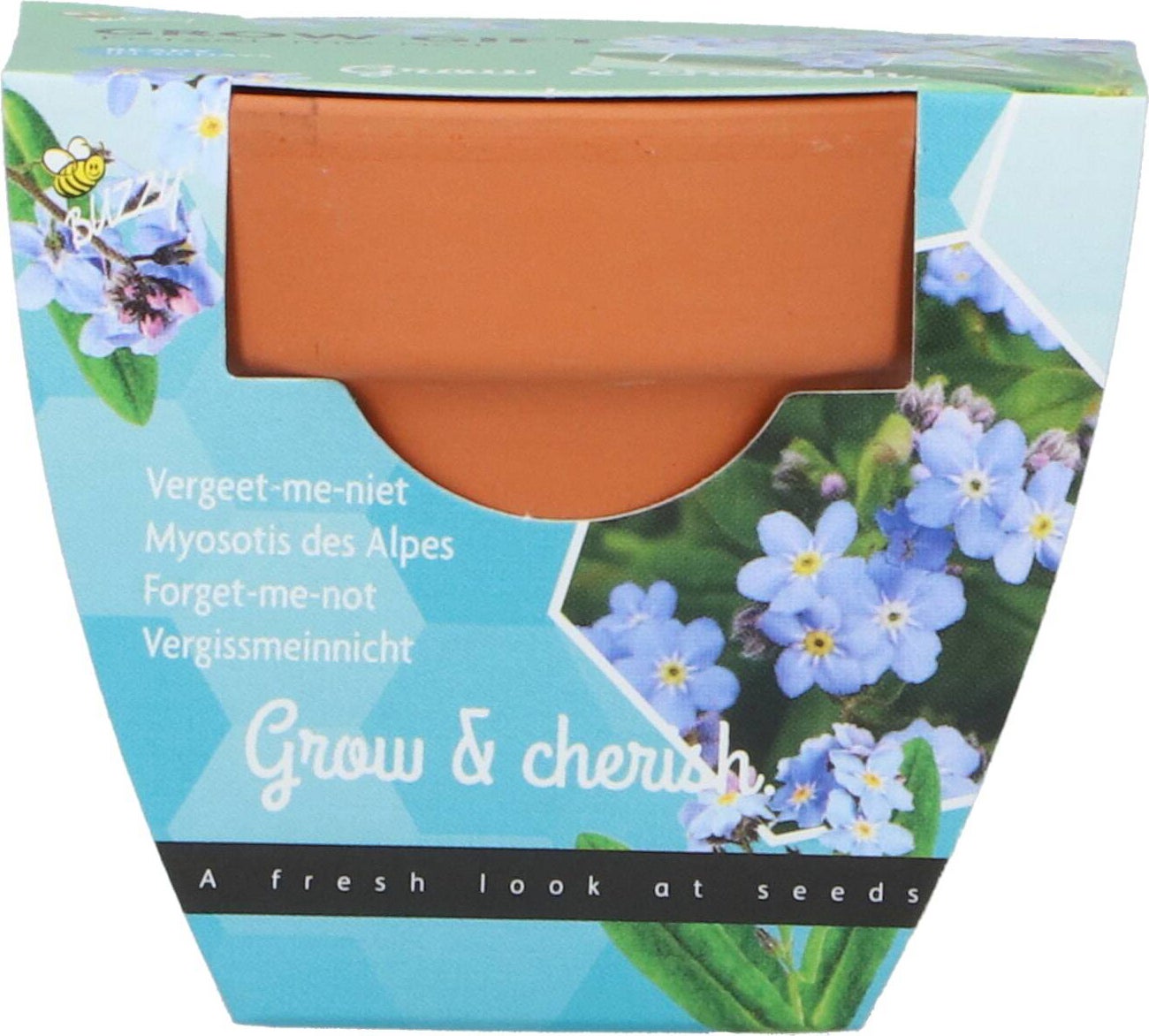 Buzzy bloemenzaad kweekset Vergeet-me-niet (Myosotis)