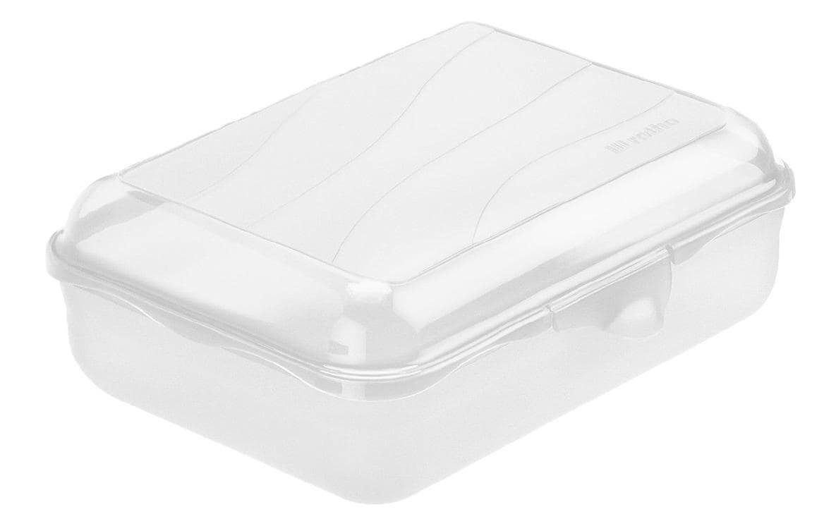 Lunchbox Fun 1250 ml, TransparentSnackdose für Unterwegs