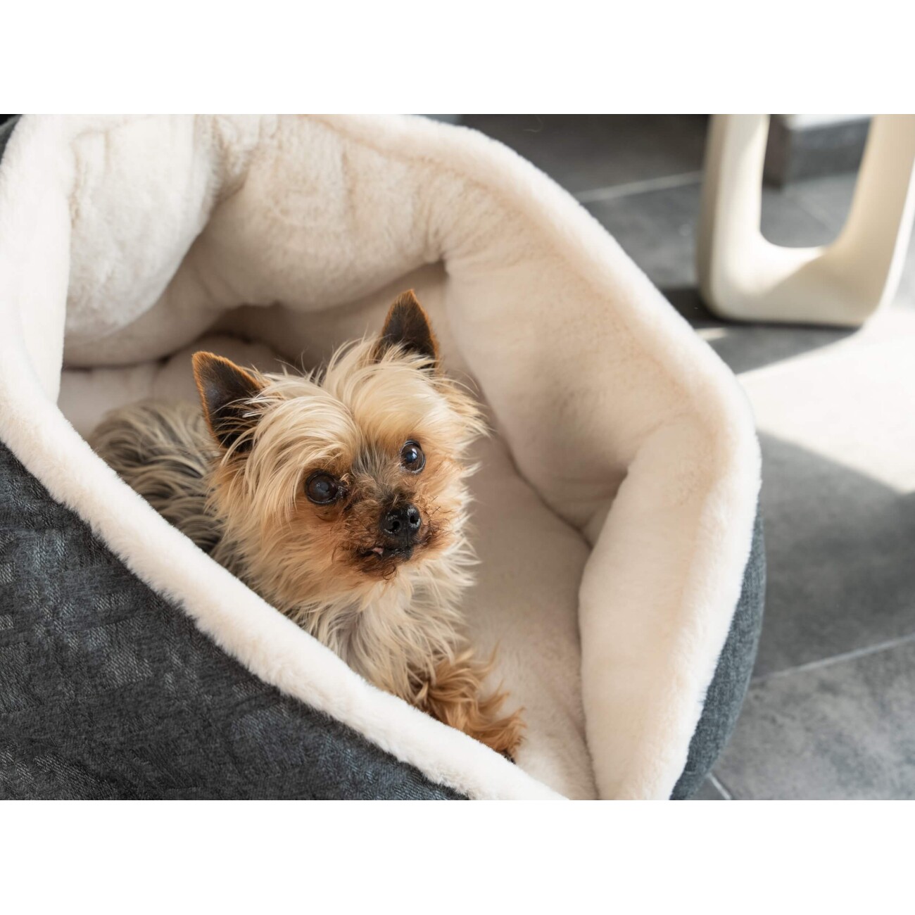 TrendPet LunaNest Kuschelhöhle beige S