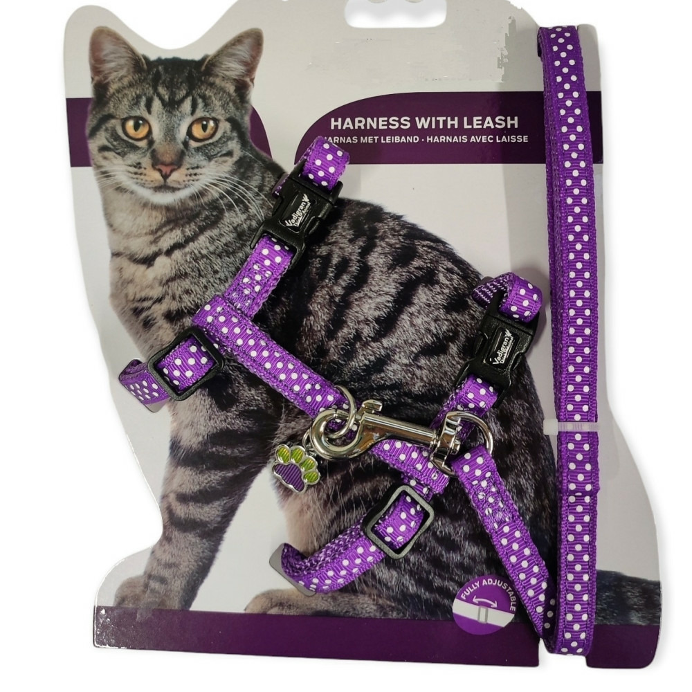 Harnais + laisse 120 cm, pour chat , à pois violet, réglable.