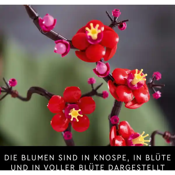 10369 Pflaumenblüte