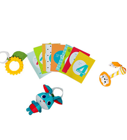 Tiny Love GeschenkBox - 19 Teile - Wiesentage